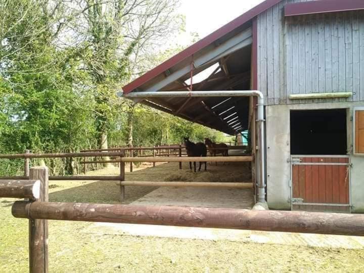 Chambres d'hôtes du ranch Callengeville Extérieur photo